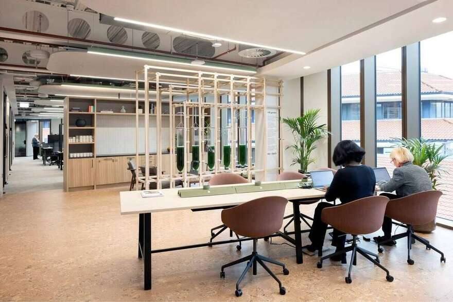 AIR.garden algae photobioreactors within a timber frame on a working floor