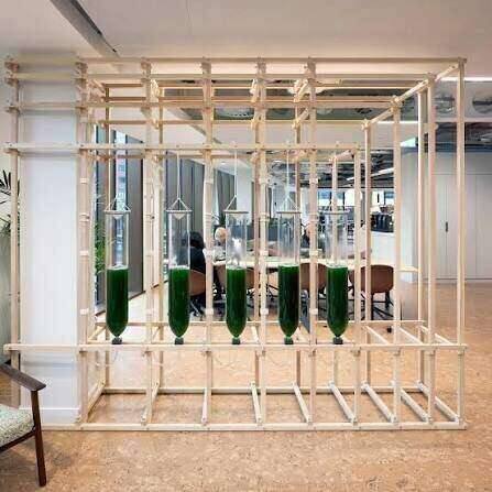 Detail of the AIR.garden timber structure and algae vessels
